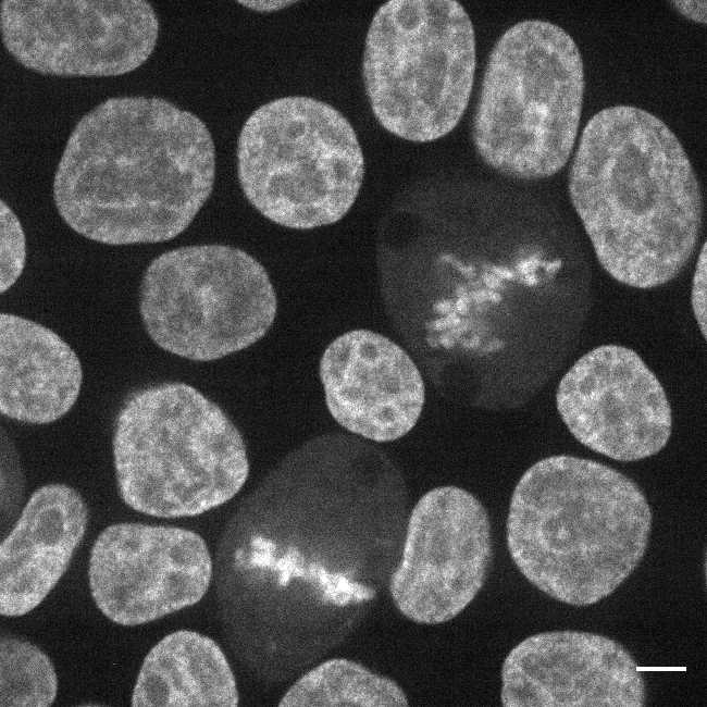 [object Object] thumbnail